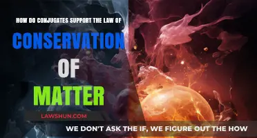 Conjugates in Chemical Reactions: Upholding the Law of Conservation of Matter