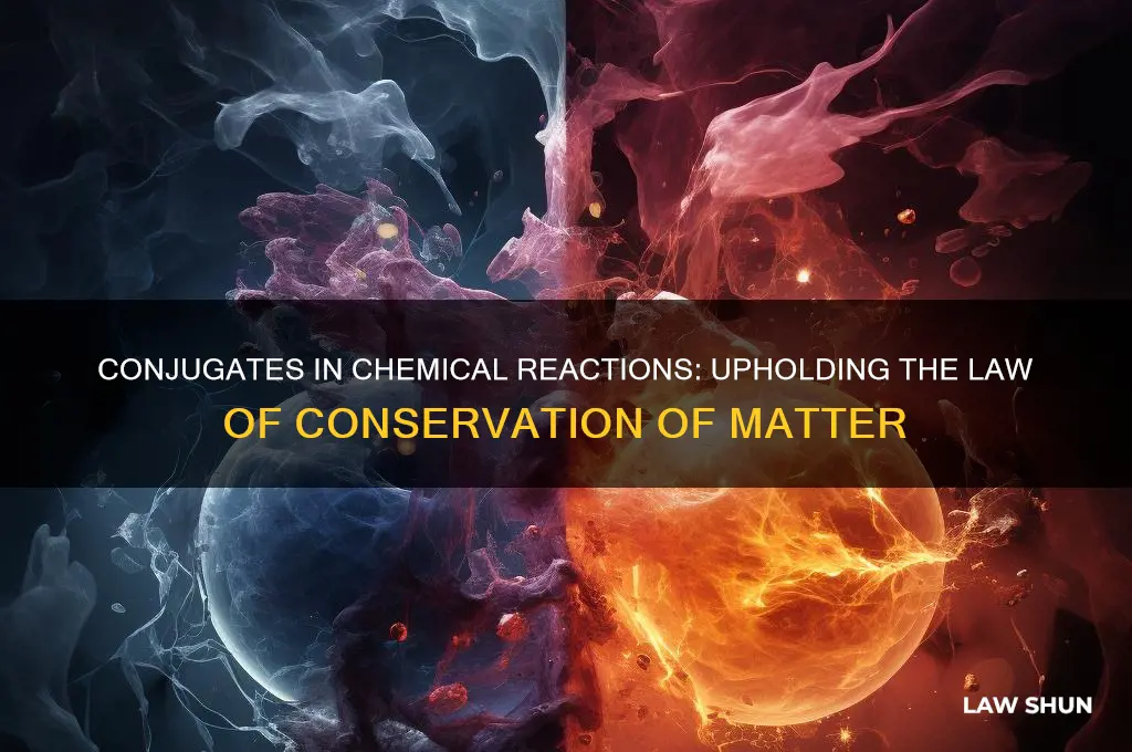 how do conjugates support the law of conservation of matter