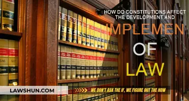 Constitutional Impact: Law Development and Implementation