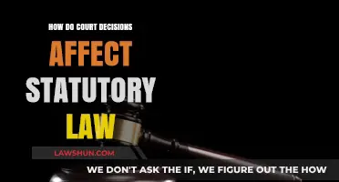 How Court Rulings Shape and Transform Statutory Law Over Time