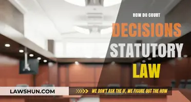 Understanding Court Decisions: How They Shape and Interpret Statutory Law