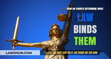 Understanding Judicial Hierarchy: How Courts Decide Which Laws Govern Their Rulings