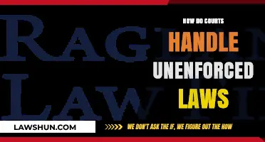 Unenforced Laws: How Courts Navigate Legal Gray Areas and Implications