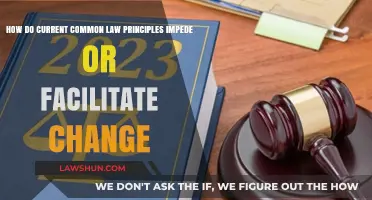 Common Law: Impeding or Enabling Progress?