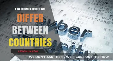 Global Cyber Crime Laws: Key Differences and Legal Variations Explained