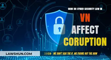 Vietnam's Cyber Security Laws: Impact on Corruption and Legal Challenges