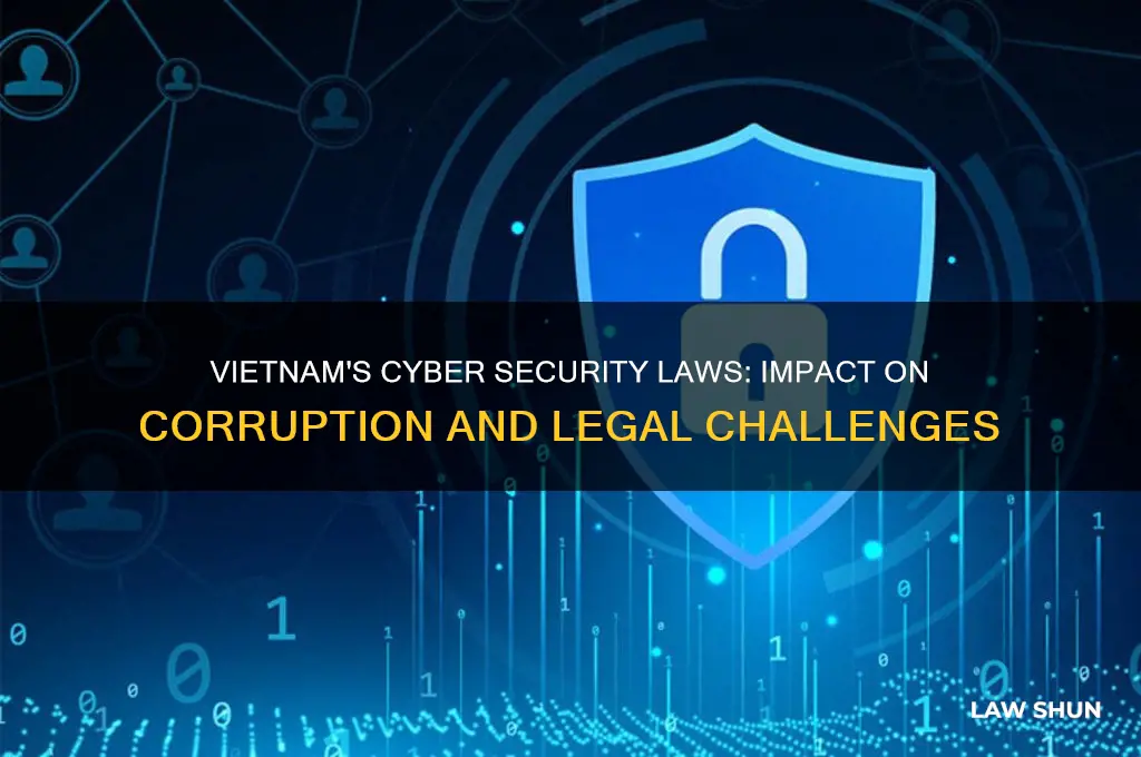 how do cyber security law in vn affect coruption