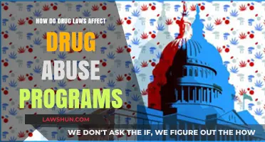Drug Laws' Impact on Abuse Programs: Challenges and Solutions