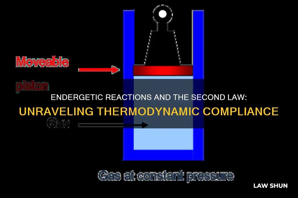 how do endergonic reactions obey the second law of thermodynamics