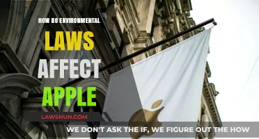 Environmental Laws and Apple: Impact on Sustainability and Business Practices