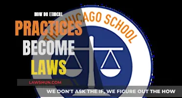 Ethical Practices to Laws: A Transition