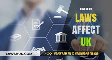 EU Laws Post-Brexit: Impact on UK Policies and Trade