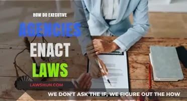 Decoding the Process: How Executive Agencies Enact Laws