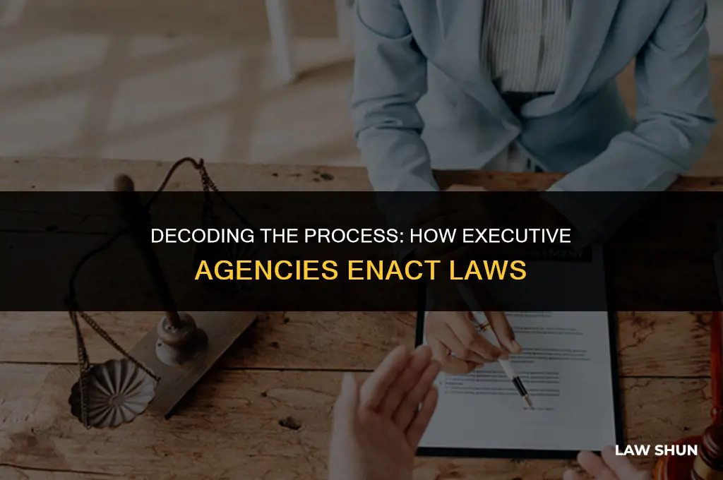 how do executive agencies enact laws