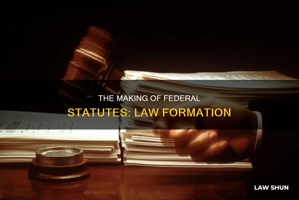 how do federal statutes become law