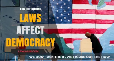Financing Laws and Democracy: Impact on Political Equality and Representation