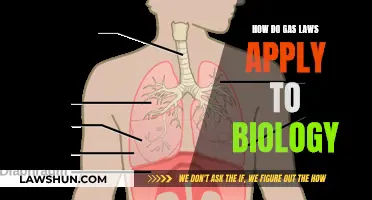 Gas Laws: Their Biological Relevance and Applications