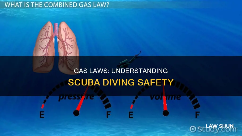 how do gas laws apply to scuba diving