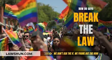 Gays and the Law: Breaking Rules and Boundaries