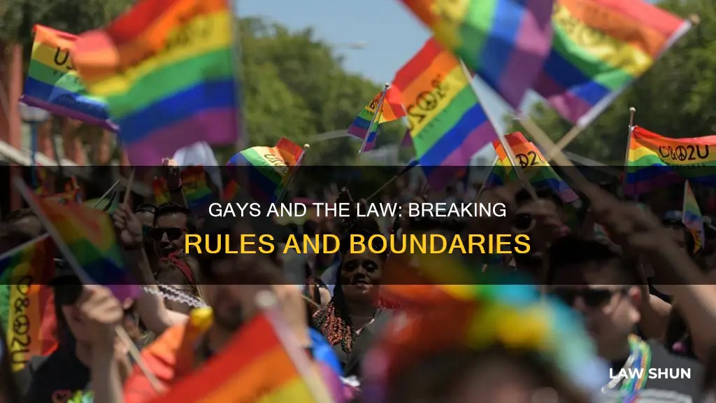 how do gays break the law