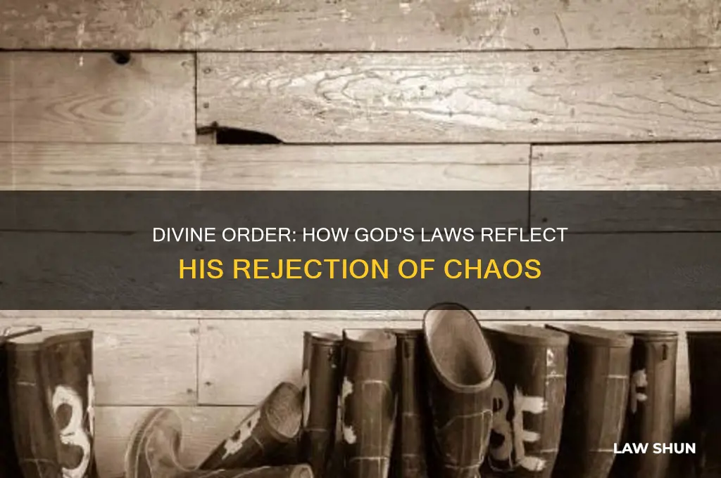 how do gods laws show he cannot approve of disorder