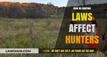 Understanding Hunting Laws: Impact on Hunters' Rights and Responsibilities
