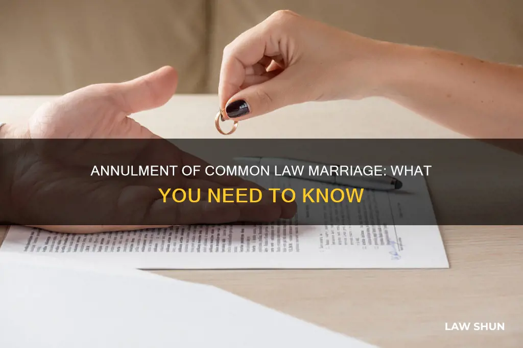 how do i annul a common law marriage