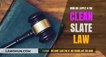 Applying for a Clean Slate: Understanding the Law and Process