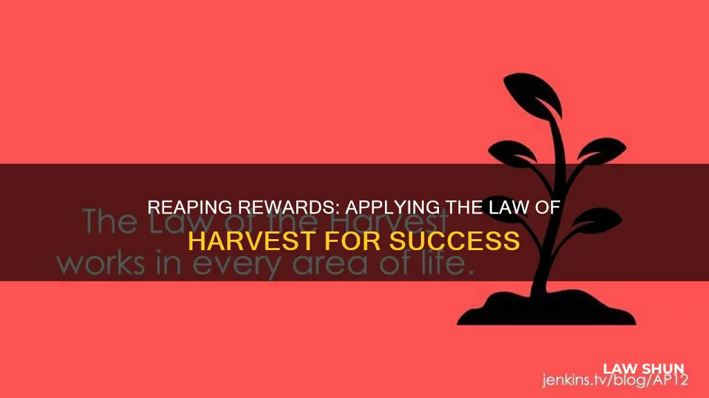 how do i apply the law of harvest