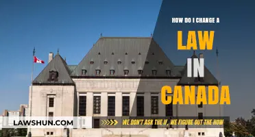 Changing Canadian Law: A Guide to Making an Impact