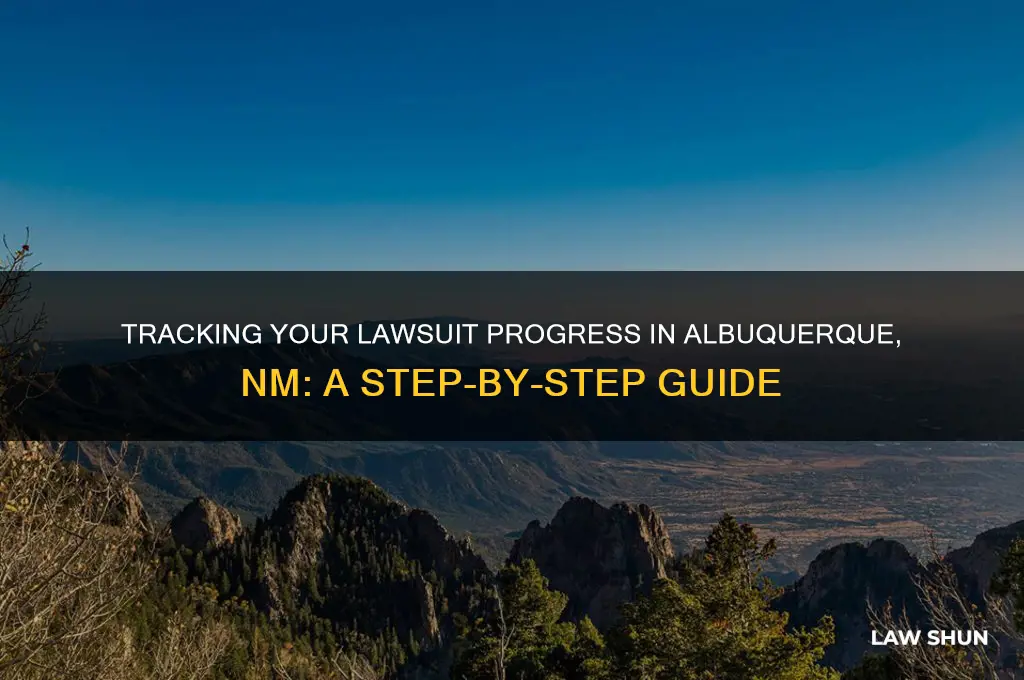 how do i check a law sue progress abq nm