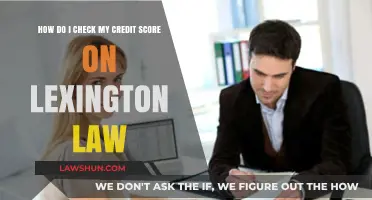 How to Check Your Credit Score with Lexington Law Firm