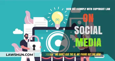Navigating Copyright Compliance on Social Media: Essential Tips for Creators