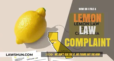 Filing a Lemon Law Complaint: Step-by-Step Guide to Protect Your Rights