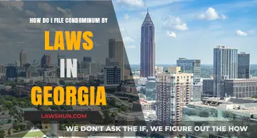 Filing Condominium Bylaws in Georgia: A Step-by-Step Guide