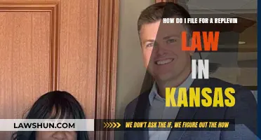 Filing a Replevin Lawsuit in Kansas: A Step-by-Step Guide