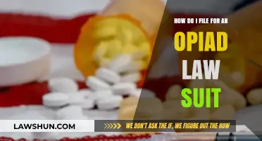 Filing an Opioid Lawsuit: A Step-by-Step Guide for Victims