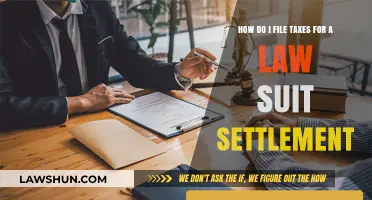 Lawsuit Settlement: Filing Taxes the Right Way
