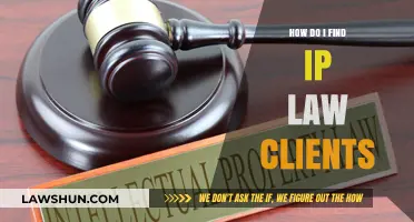 Strategies to Attract and Secure IP Law Clients Effectively