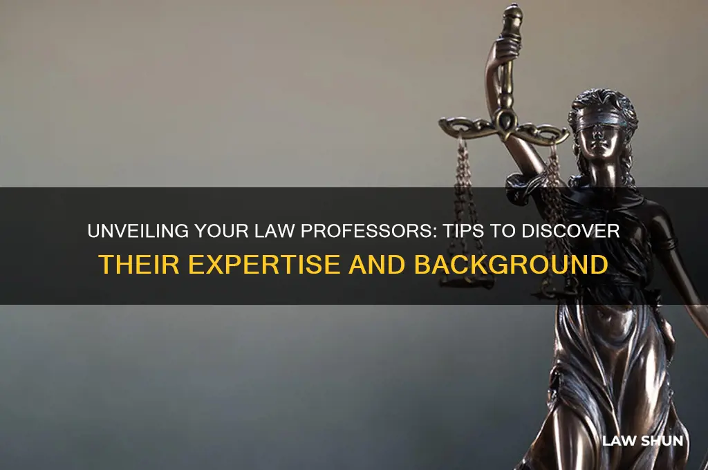 how do i find more about my law professors