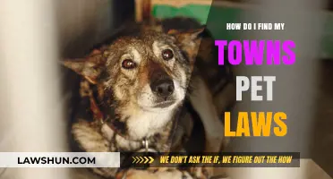 Navigating Local Pet Regulations: A Guide to Finding Your Town's Pet Laws