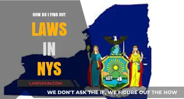 Navigating New York State Laws: A Comprehensive Guide to Legal Research