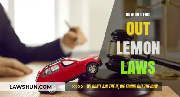 Understanding Lemon Laws: A Comprehensive Guide to Protecting Your Rights