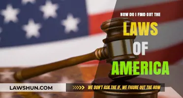 Understanding America's Legal System: A Guide to Finding U.S. Laws