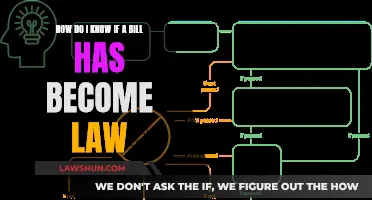 Understanding Bills: Laws and Their Making