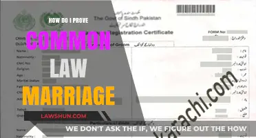 Establishing Common Law Marriage: What You Need to Prove It