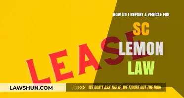 Reporting a Vehicle Under California's Lemon Law: A Step-by-Step Guide