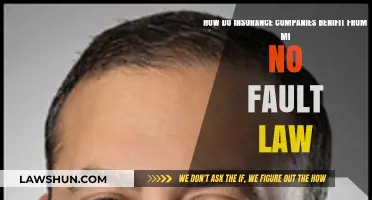 Michigan No-Fault Law: How Insurance Companies Profit from the System