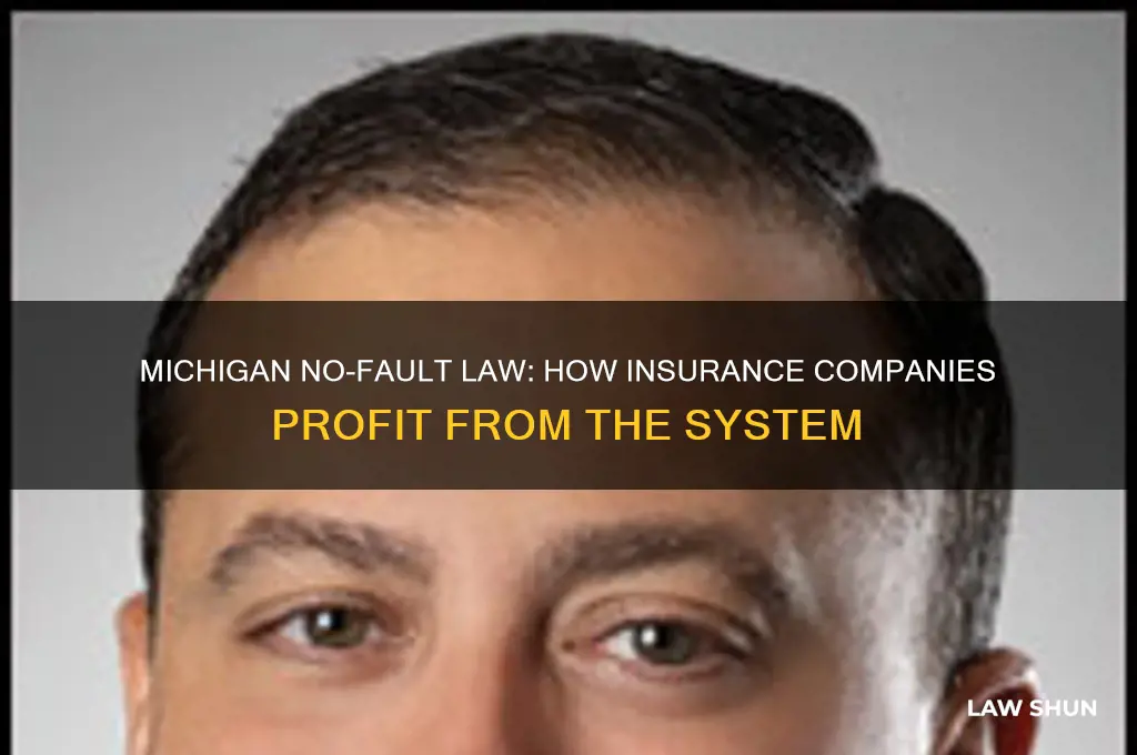 how do insurance companies benifit from mi no fault law