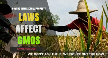 Intellectual Property Laws and Their Impact on GMO Innovations